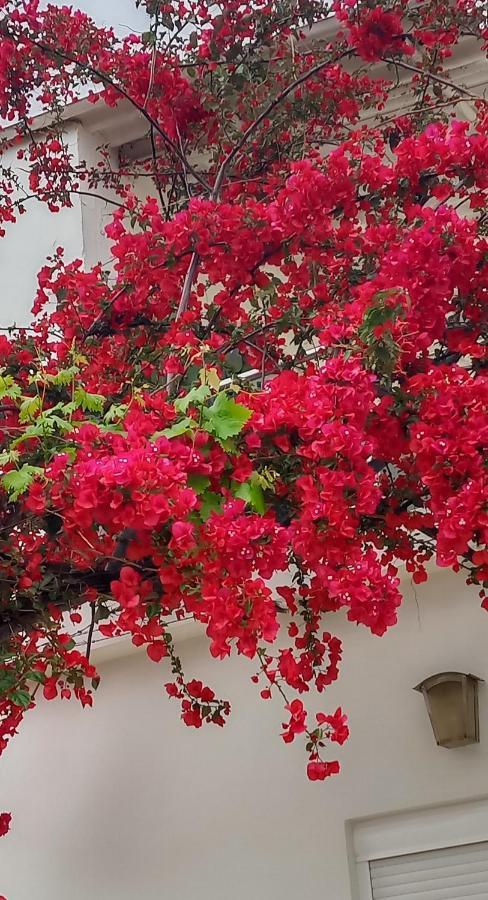 Stamatias Home, Fully Equipped Cottage 5 Minutes From The Sea Chrissi Akti Chania Exterior foto